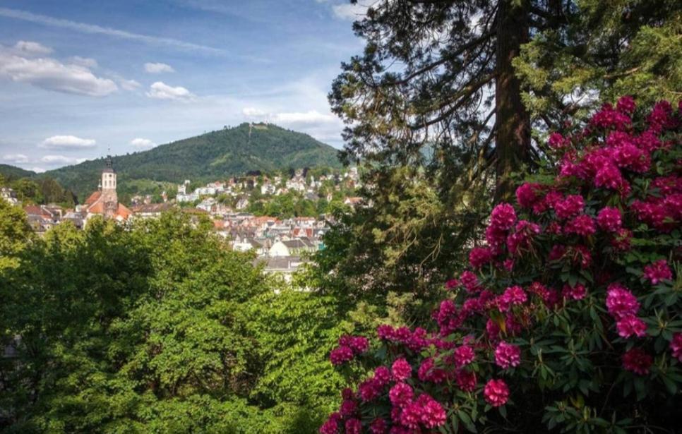 A&A Apartment Baden-Baden Esterno foto